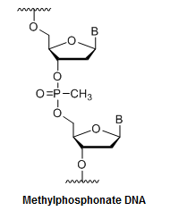 Bio-Synthesis Inc. Oligo Structure